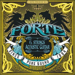 Forte AG 6-10-50 Серебро