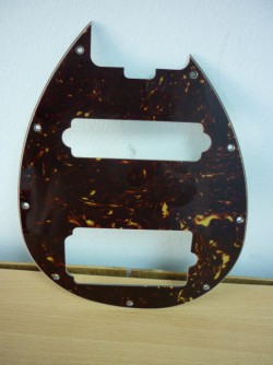 Ernie Ball pickguard