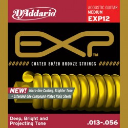 D'ADDARIO EXP12  013-056