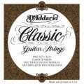 D'ADDARIO EJ31