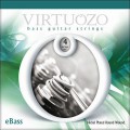 Virtuozo 097 eBASS 45-100